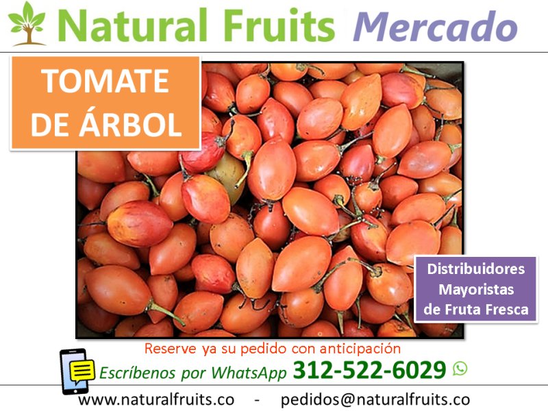 distribuidor comercializador mayorista fruta fresca tomate de árbol vende por mayor